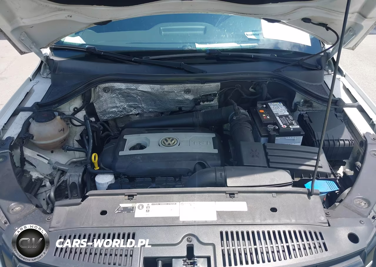 2017 Volkswagen Tiguan 2.0T-2.0T S VIN:WVGAV7AX8HK050604 - 10