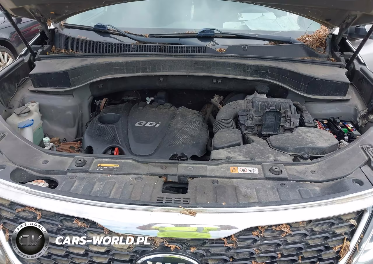 2015 Kia Sorento Lx VIN:5XYKTCA68FG557505 - 10