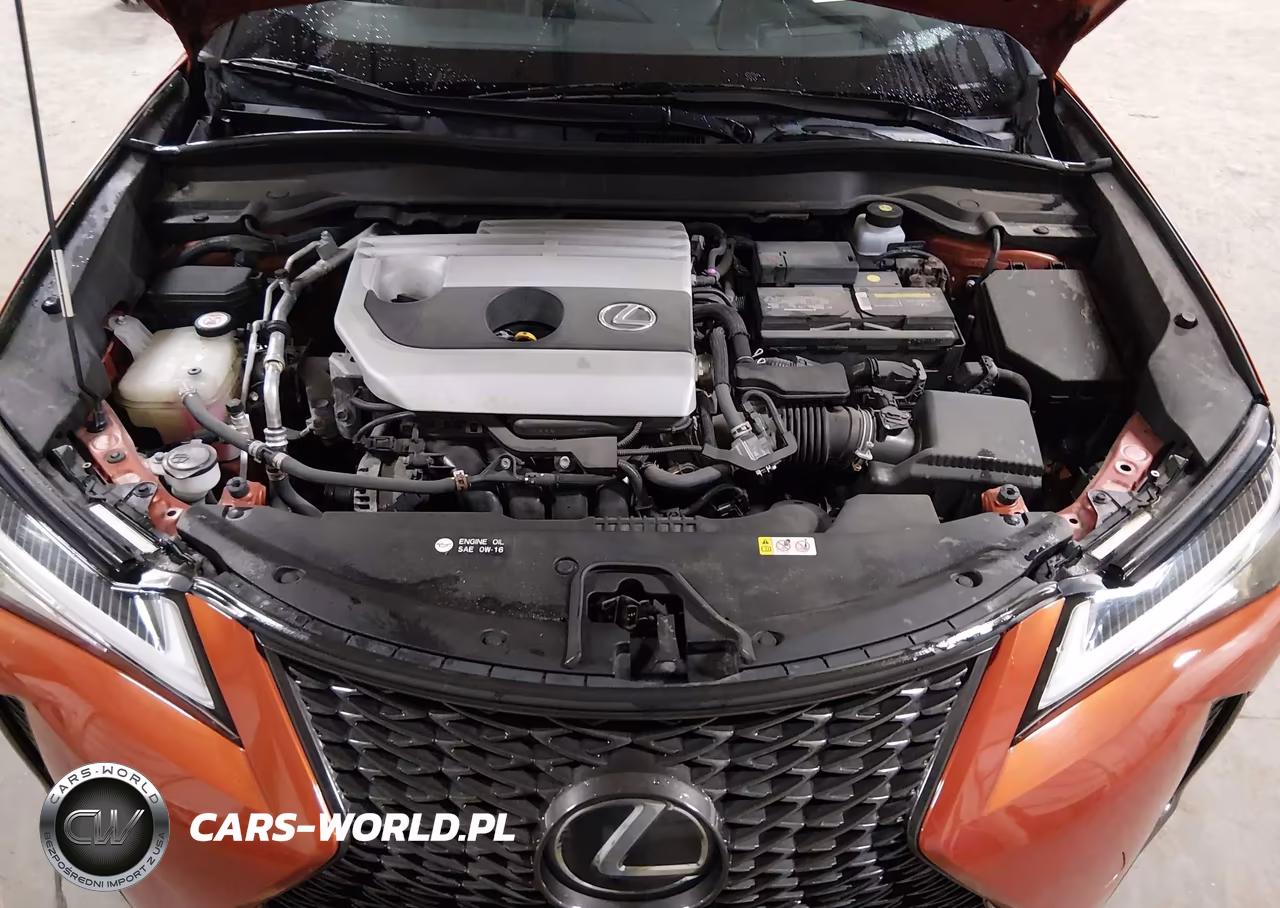 2019 Lexus Ux 200 F Sport VIN:JTHY3JBH5K2005350 - 10