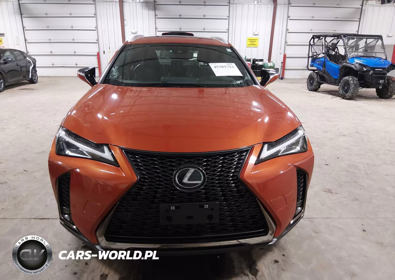 2019 Lexus Ux 200 F Sport VIN:JTHY3JBH5K2005350 - 12