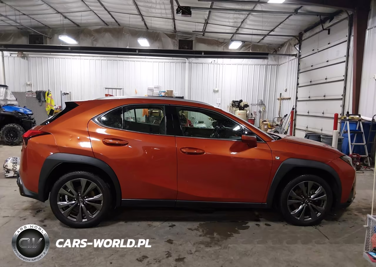 2019 Lexus Ux 200 F Sport VIN:JTHY3JBH5K2005350 - 13