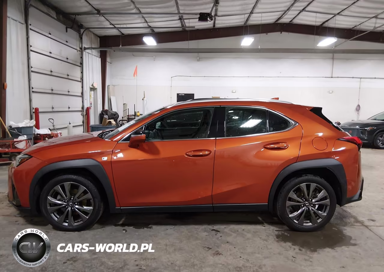 2019 Lexus Ux 200 F Sport VIN:JTHY3JBH5K2005350 - 14