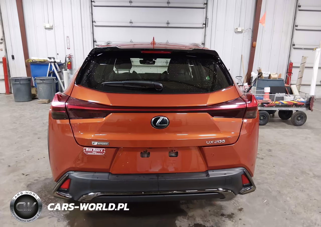 2019 Lexus Ux 200 F Sport VIN:JTHY3JBH5K2005350 - 16