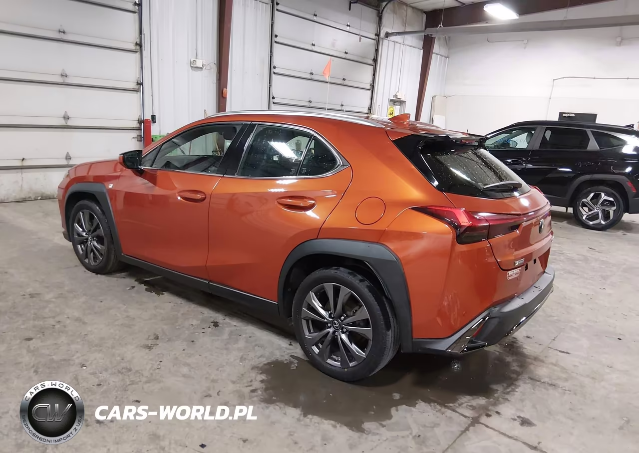 2019 Lexus Ux 200 F Sport VIN:JTHY3JBH5K2005350 - 3