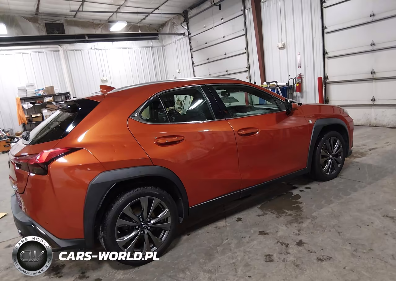 2019 Lexus Ux 200 F Sport VIN:JTHY3JBH5K2005350 - 4