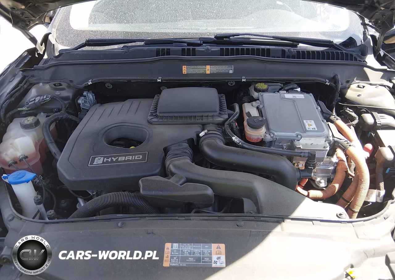 2016 Ford Fusion Hybrid Se VIN:3FA6P0LU7GR356157 - 10