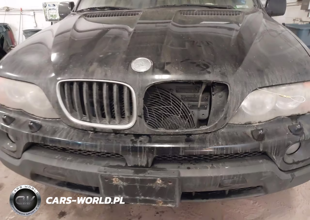 2006 BMW X5 3.0I VIN:5UXFA135X6LY35937 - 6