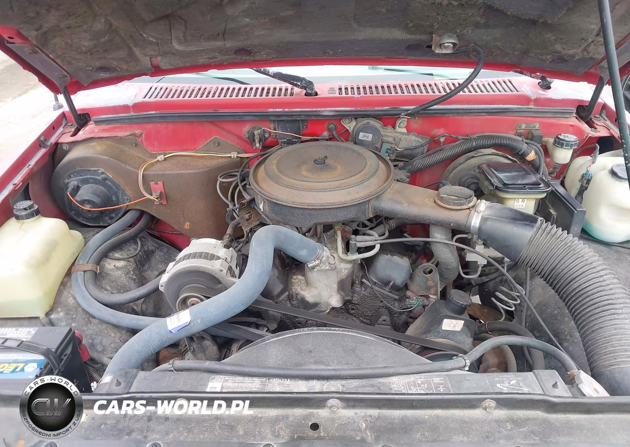 1993 Chevrolet S Truck S10 VIN:1GCCS14R6P8132021 - 10