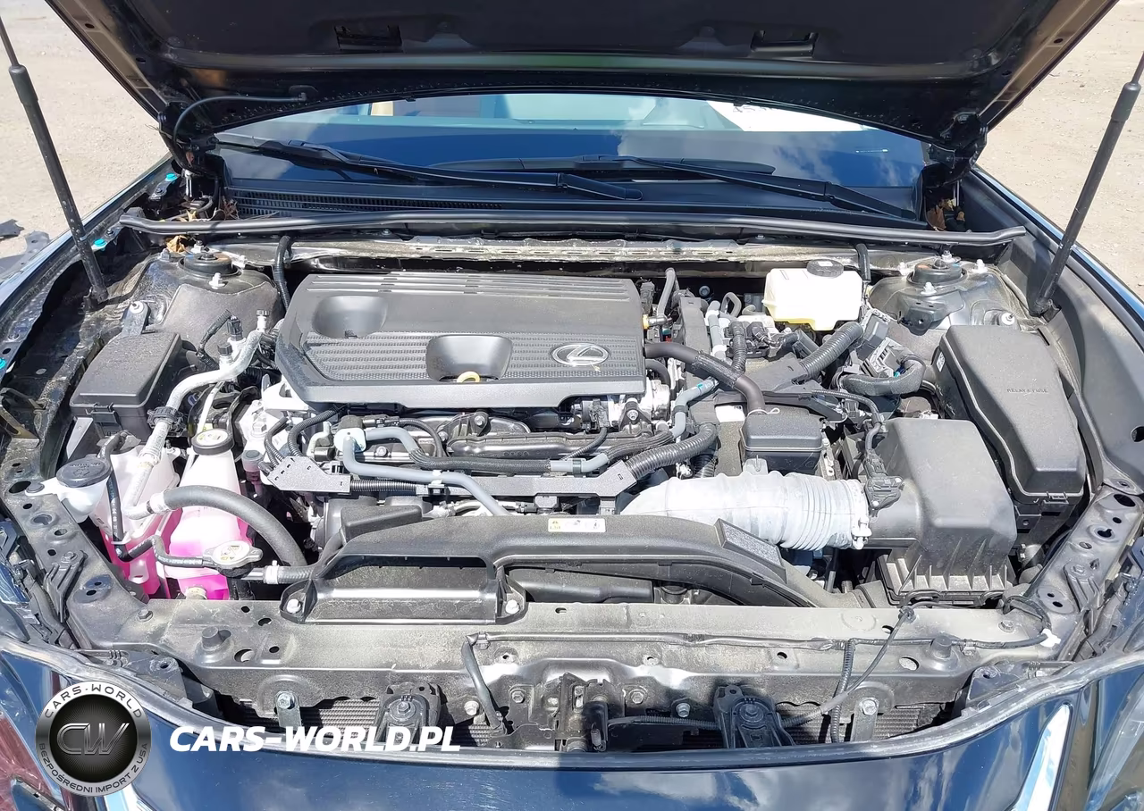 2024 Lexus Es 300H Ultra Luxury VIN:58AFA1C19RU046695 - 10