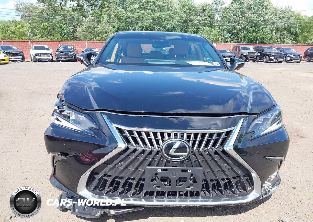 2024 Lexus Es 300H Ultra Luxury VIN:58AFA1C19RU046695 - 12