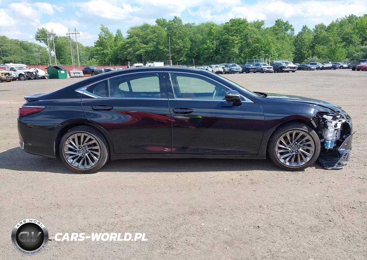 2024 Lexus Es 300H Ultra Luxury VIN:58AFA1C19RU046695 - 13