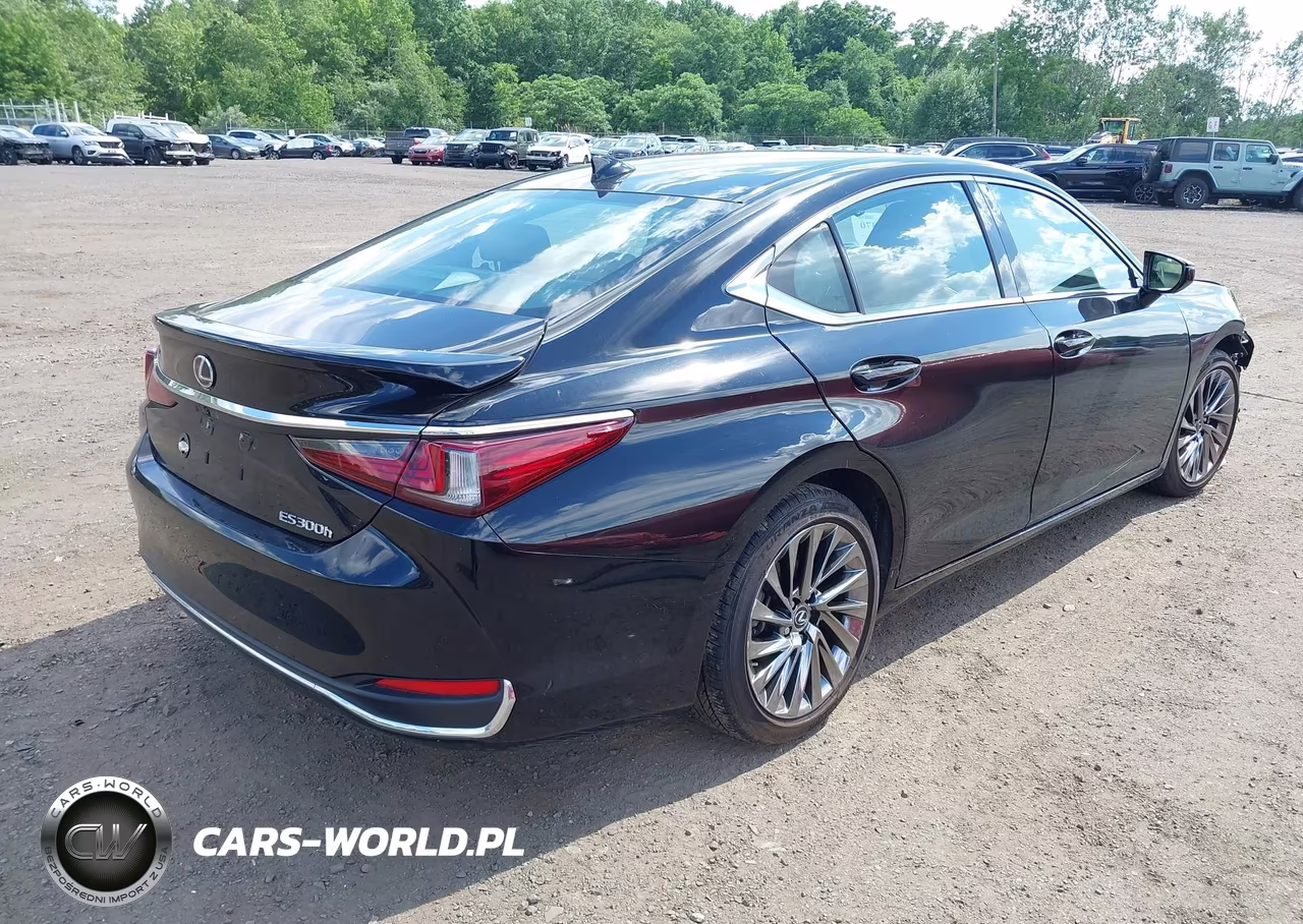 2024 Lexus Es 300H Ultra Luxury VIN:58AFA1C19RU046695 - 4