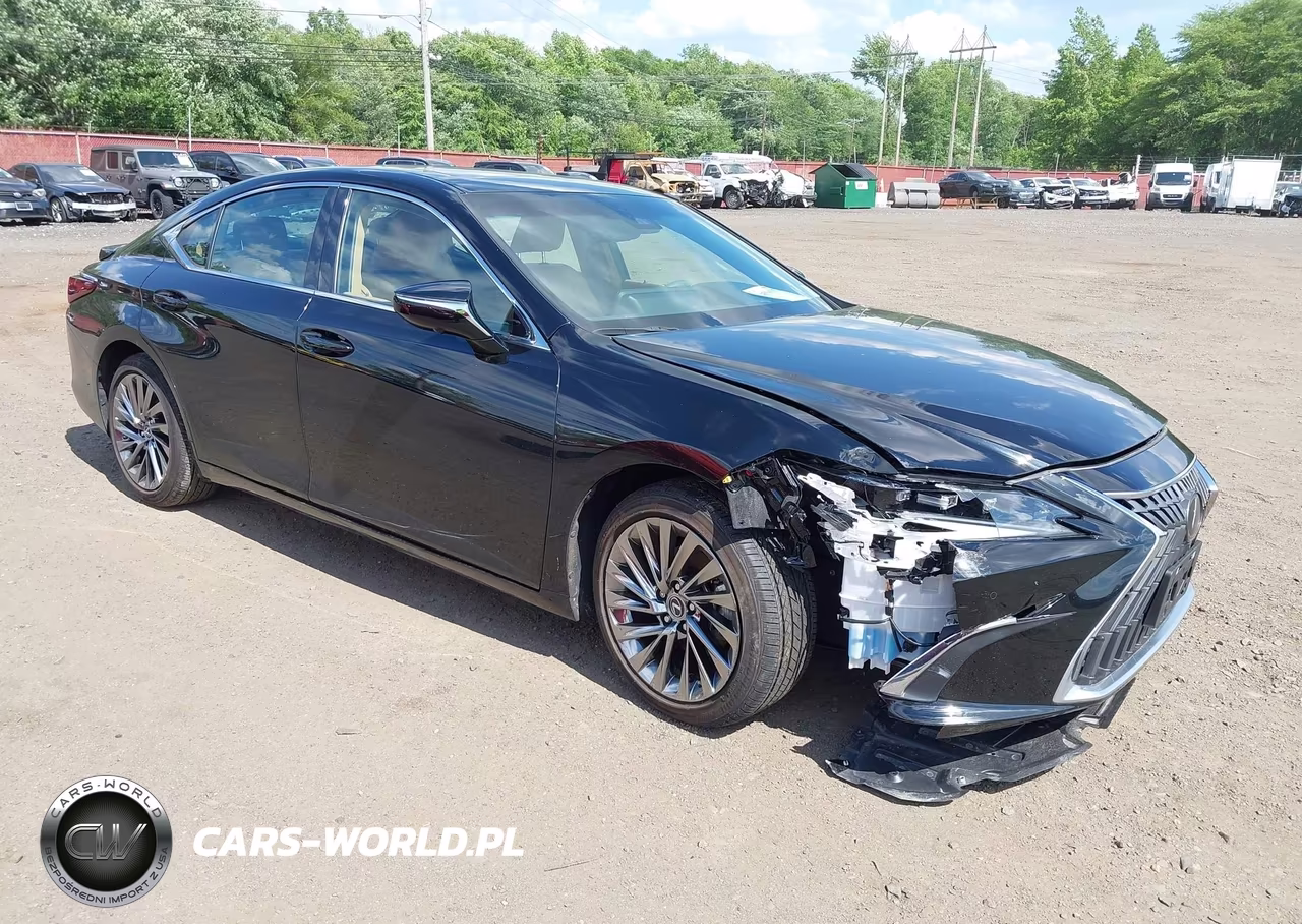 2024 Lexus Es 300H Ultra Luxury VIN:58AFA1C19RU046695 - 6