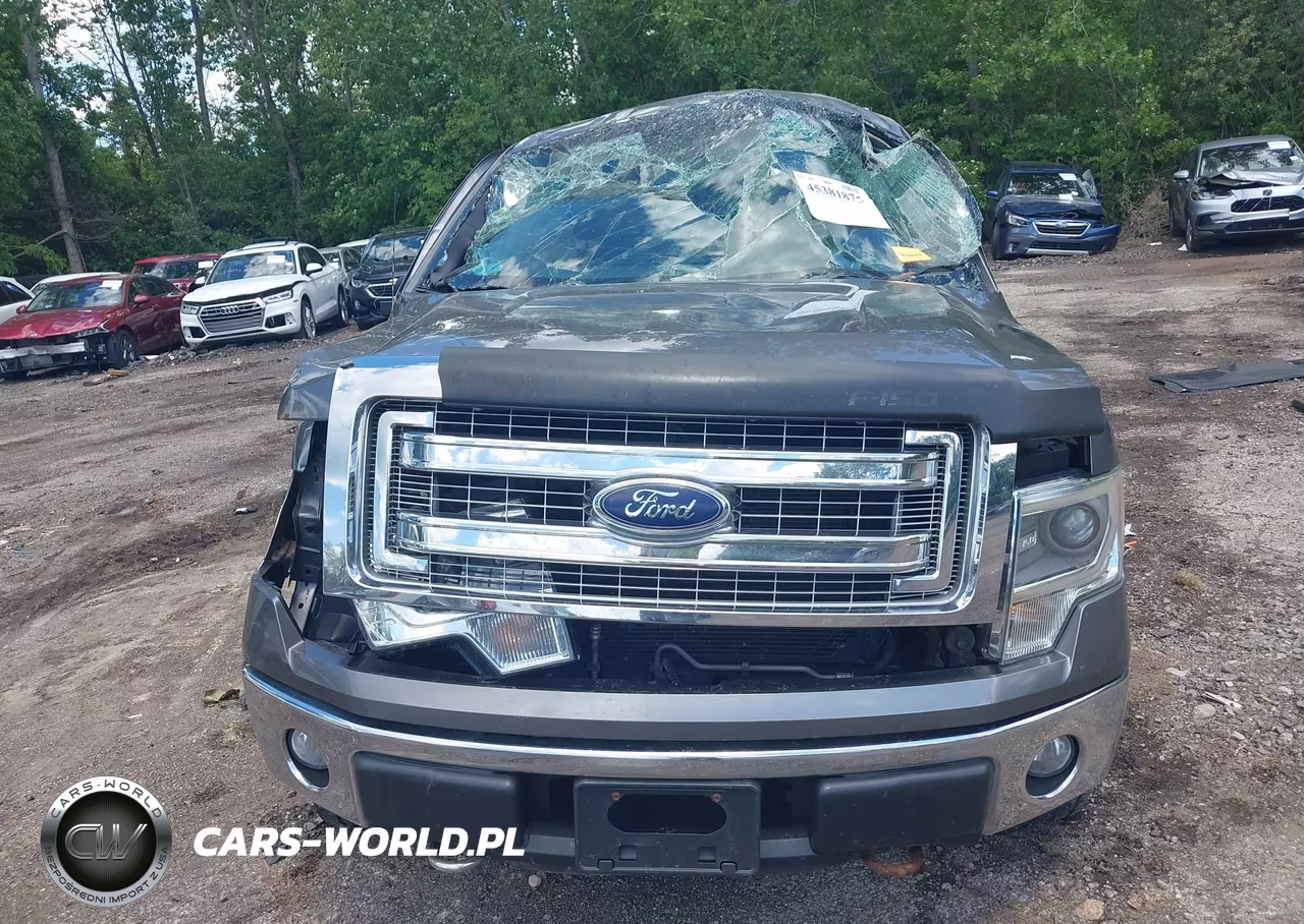 2014 Ford F-150 Xlt VIN:1FTFW1EF2EFA36790 - 12