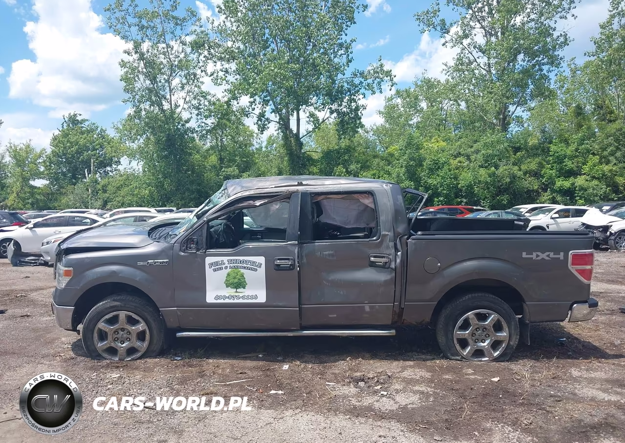 2014 Ford F-150 Xlt VIN:1FTFW1EF2EFA36790 - 14