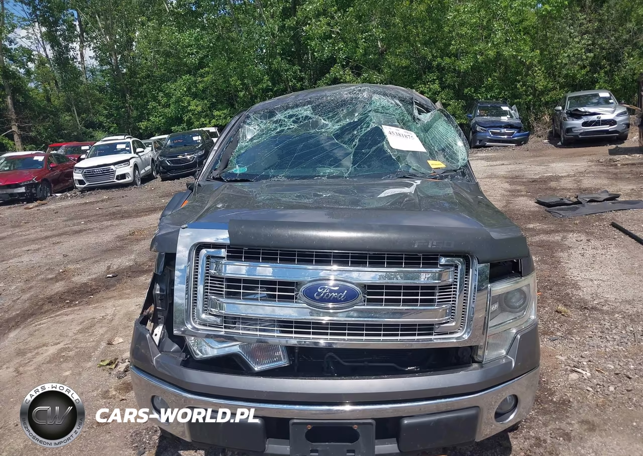 2014 Ford F-150 Xlt VIN:1FTFW1EF2EFA36790 - 6