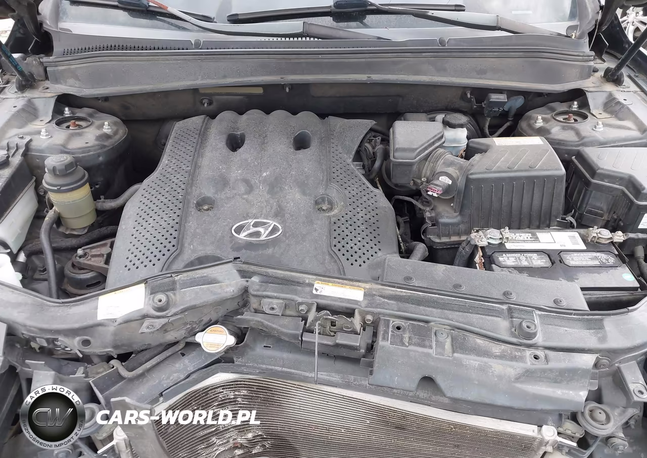 2008 Hyundai Santa Fe Gls VIN:5NMSG13D78H188665 - 10