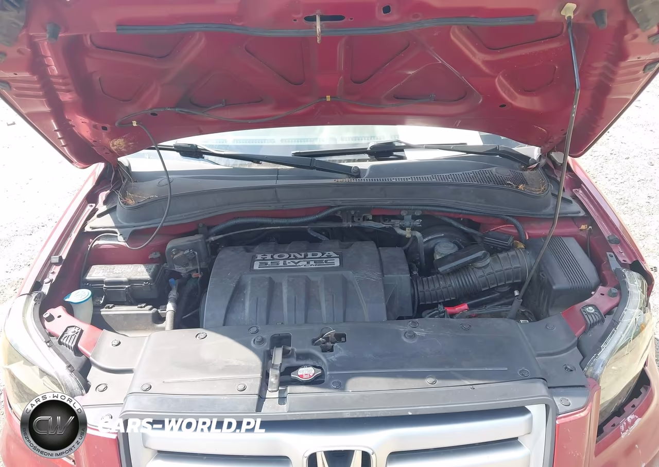 2006 Honda Pilot Ex-L VIN:5FNYF28526B022959 - 10