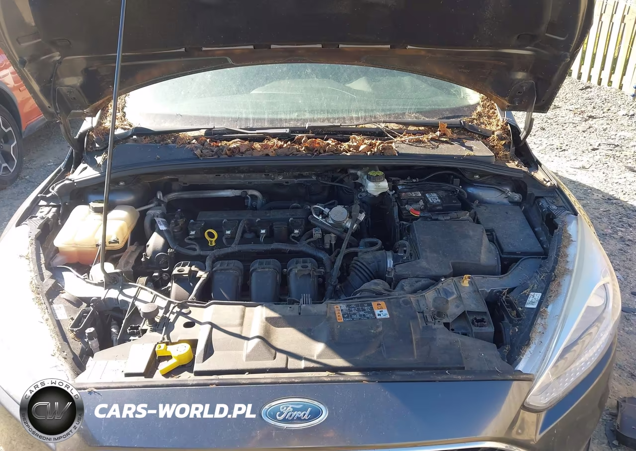 2018 Ford Focus Se VIN:1FADP3K27JL214552 - 10