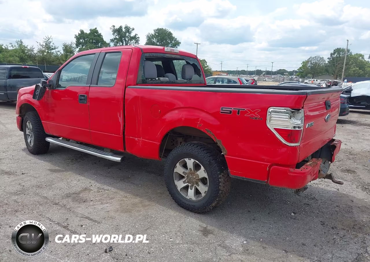2013 Ford F-150 Stx VIN:1FTFX1EF9DKF57900 - 3