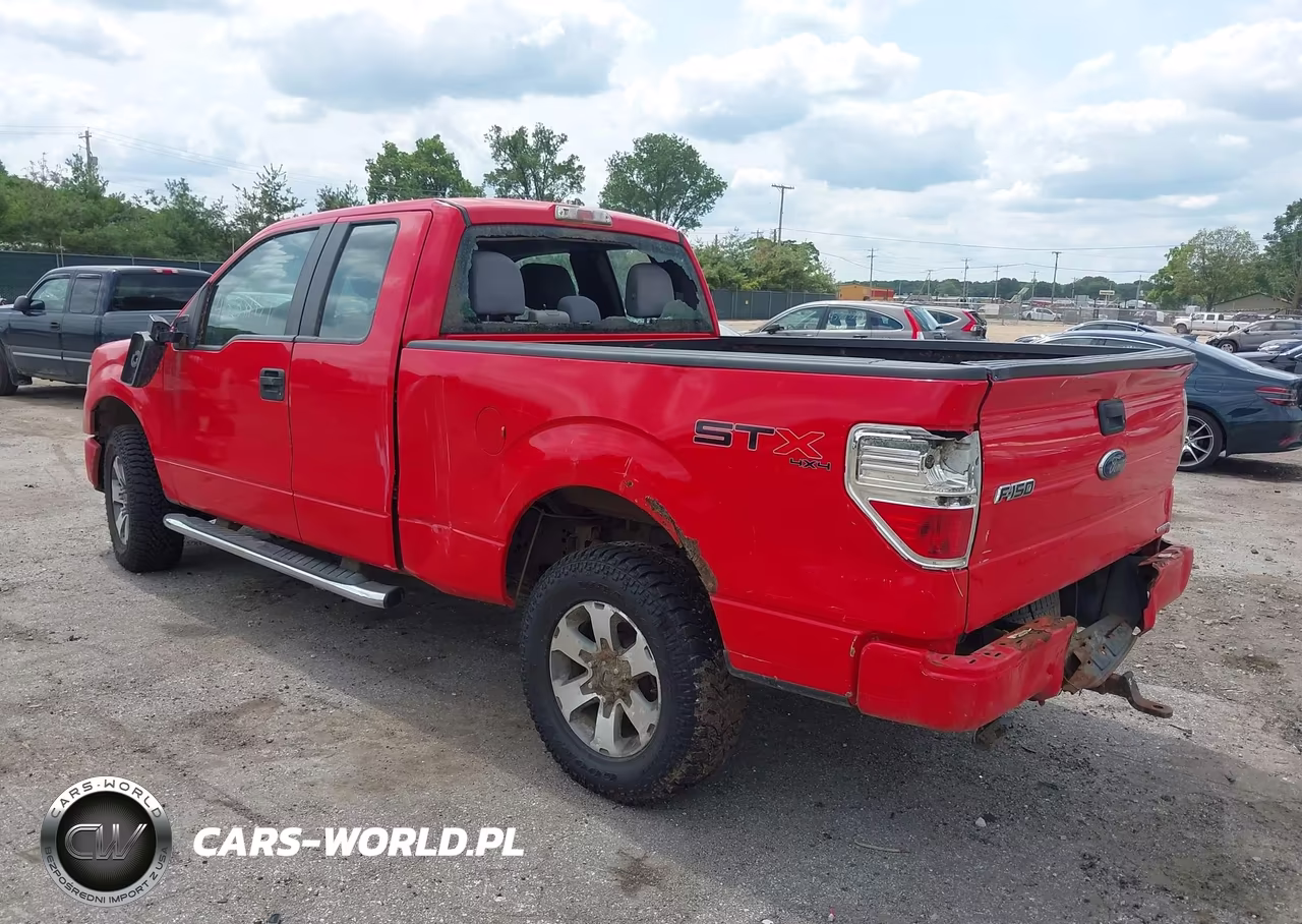 2013 Ford F-150 Stx VIN:1FTFX1EF9DKF57900 - 6