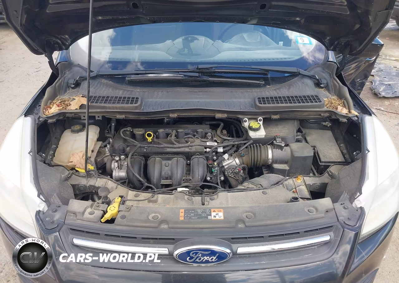 2015 Ford Escape Se VIN:1FMCU0G72FUB73276 - 10