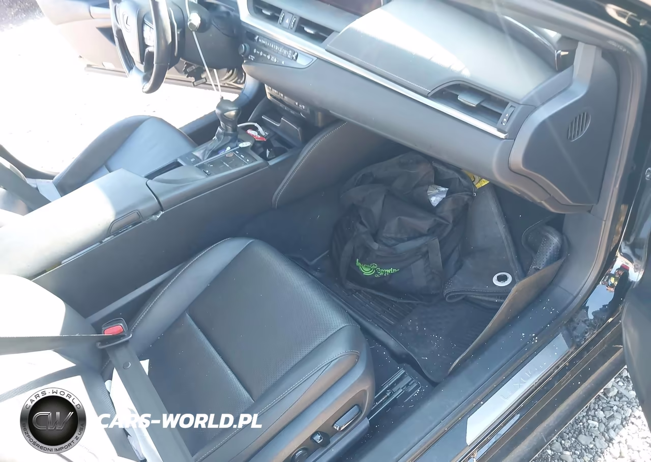 2019 Lexus Es 350 VIN:58ABZ1B14KU024988 - 5