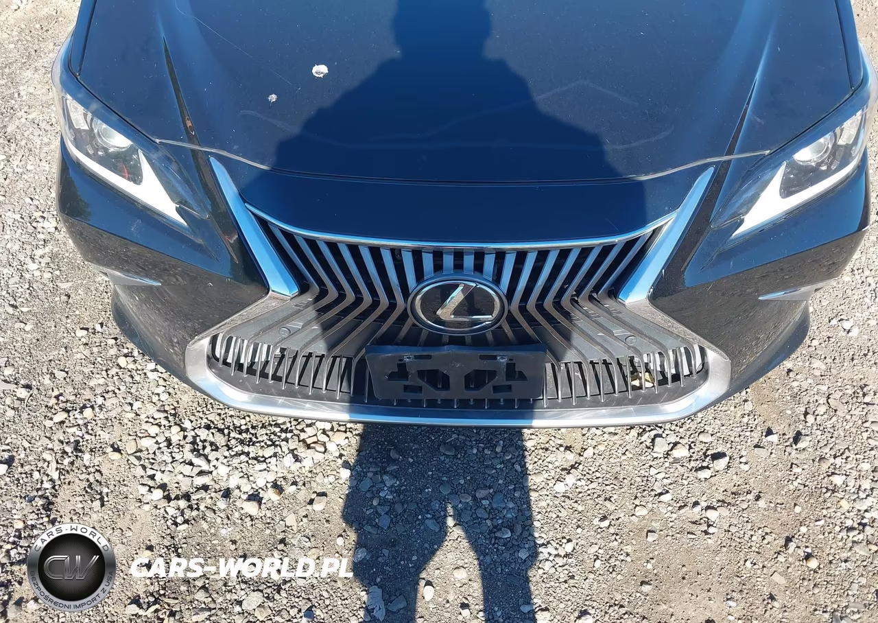 2019 Lexus Es 350 VIN:58ABZ1B14KU024988 - 6