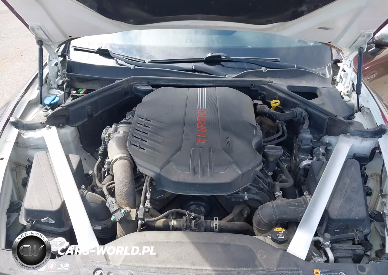 2018 Kia Stinger Gt VIN:KNAE35LC3J6030802 - 10