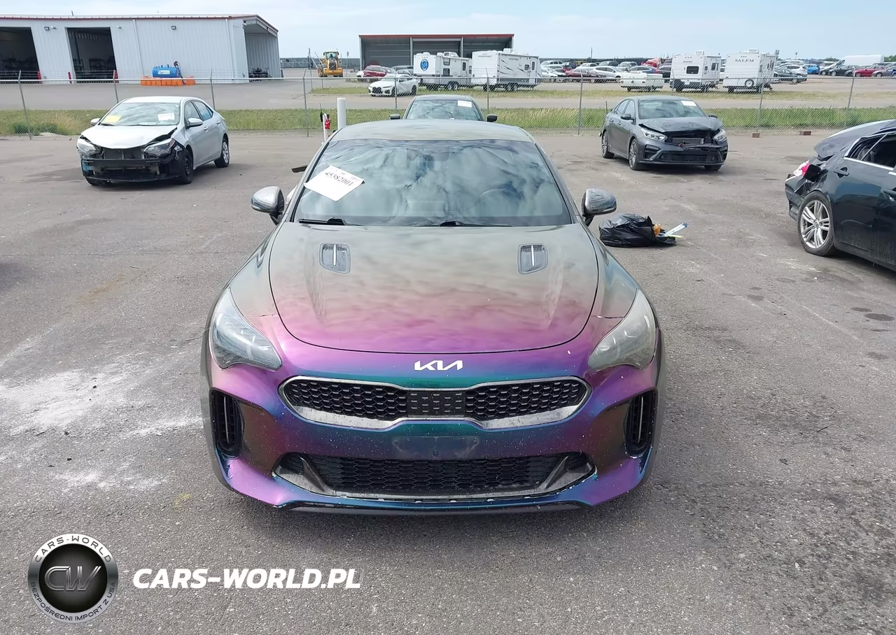 2018 Kia Stinger Gt VIN:KNAE35LC3J6030802 - 13