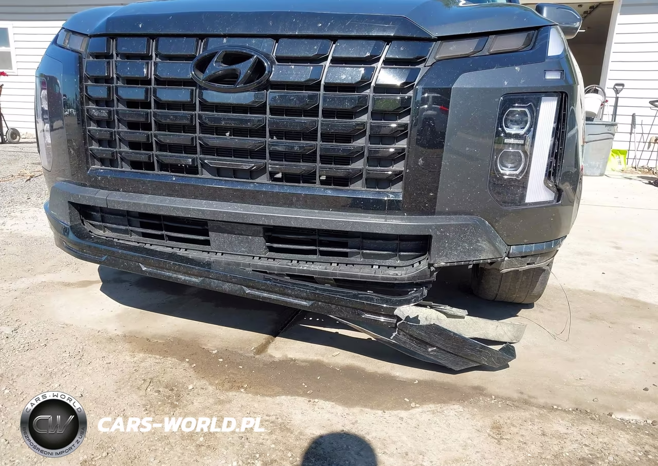 2023 Hyundai Palisade Xrt VIN:KM8R3DGE2PU633119 - 20