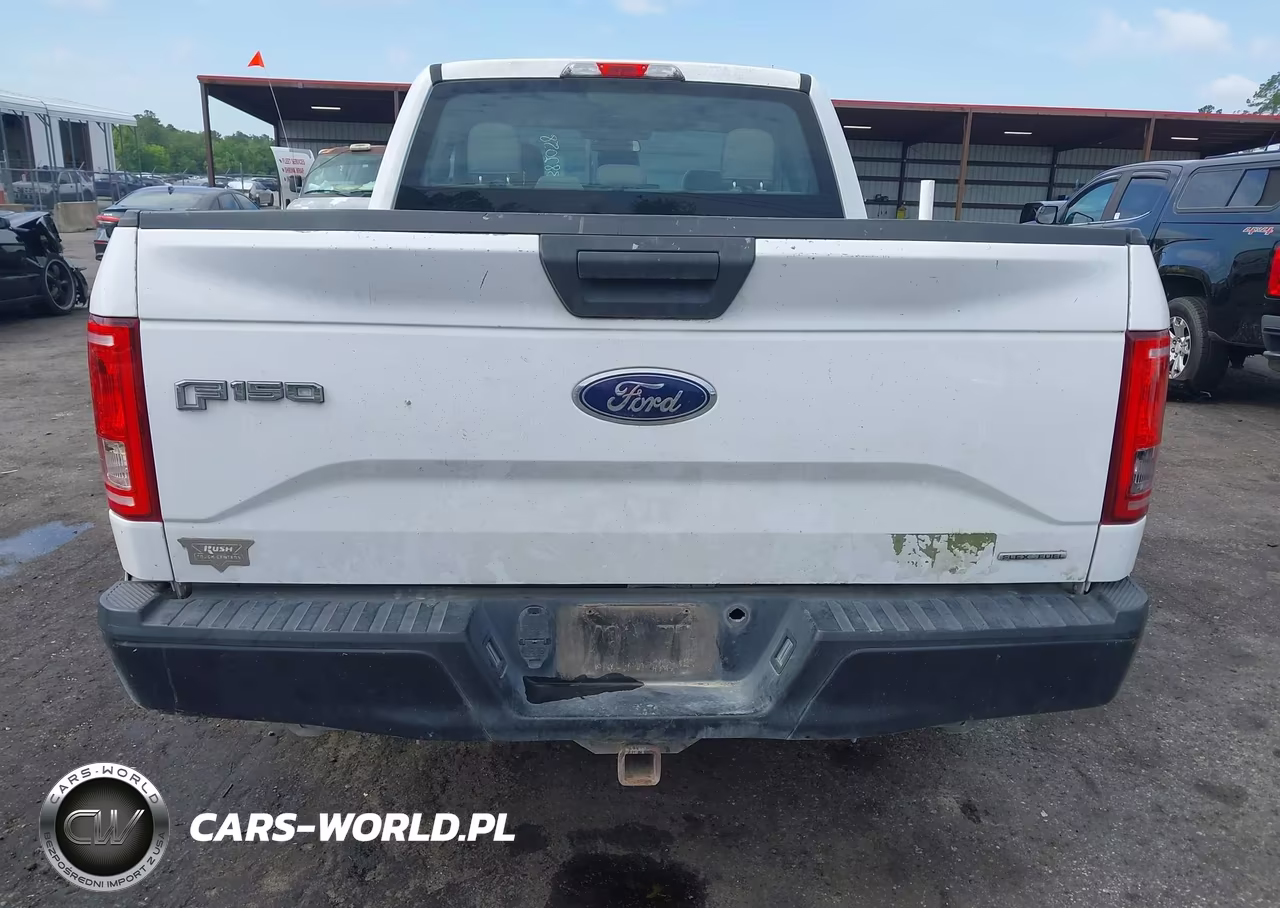 2015 Ford F-150 Xl VIN:1FTEX1CF9FKE34888 - 17