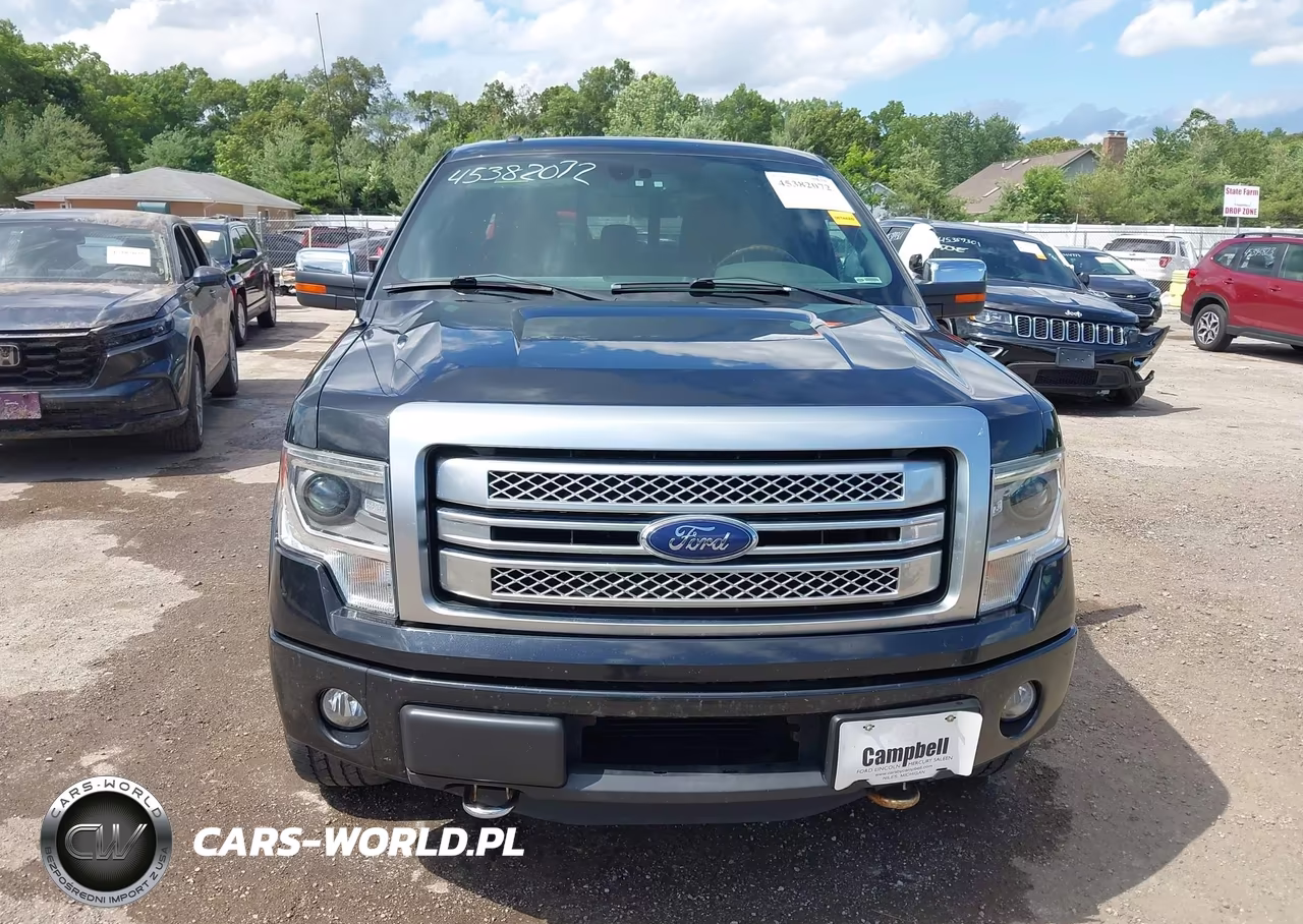 2013 Ford F-150 Platinum VIN:1FTFW1ET3DFC64141 - 12