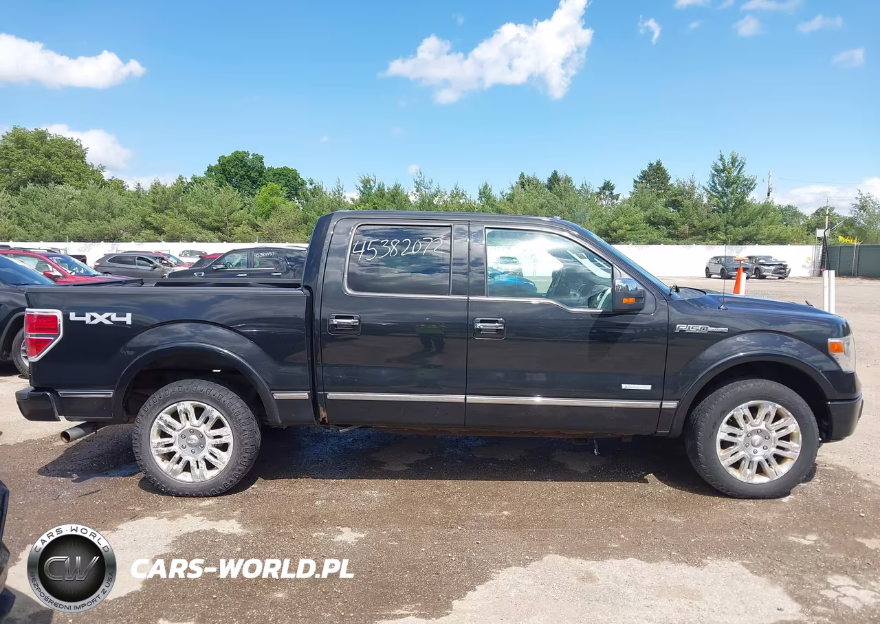 2013 Ford F-150 Platinum VIN:1FTFW1ET3DFC64141 - 13