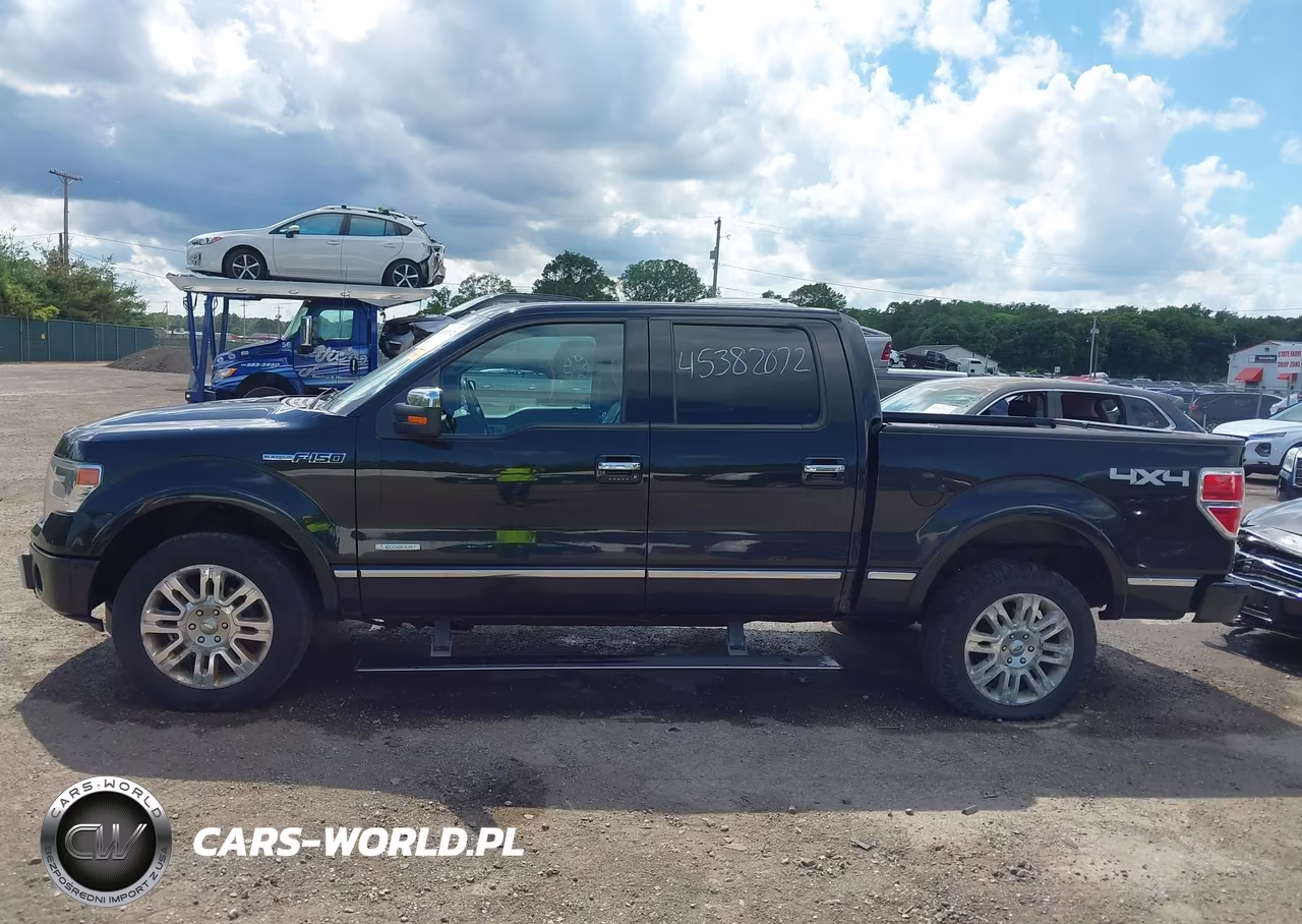 2013 Ford F-150 Platinum VIN:1FTFW1ET3DFC64141 - 14