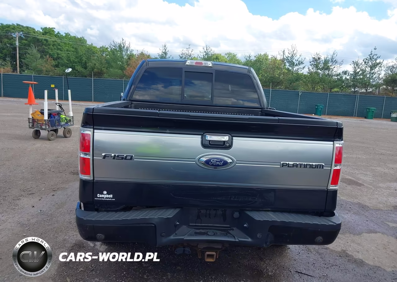 2013 Ford F-150 Platinum VIN:1FTFW1ET3DFC64141 - 16