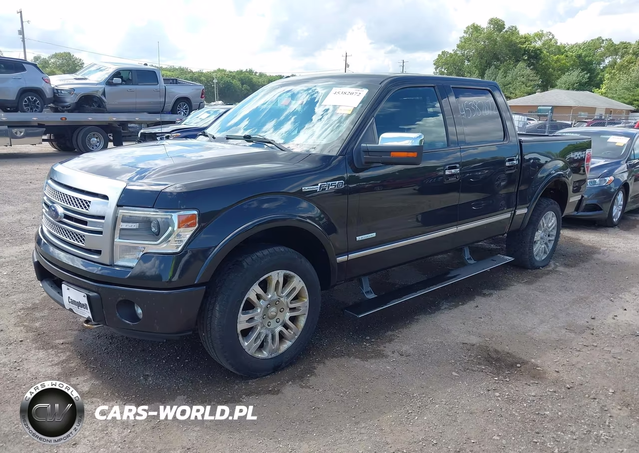 2013 Ford F-150 Platinum VIN:1FTFW1ET3DFC64141 - 2
