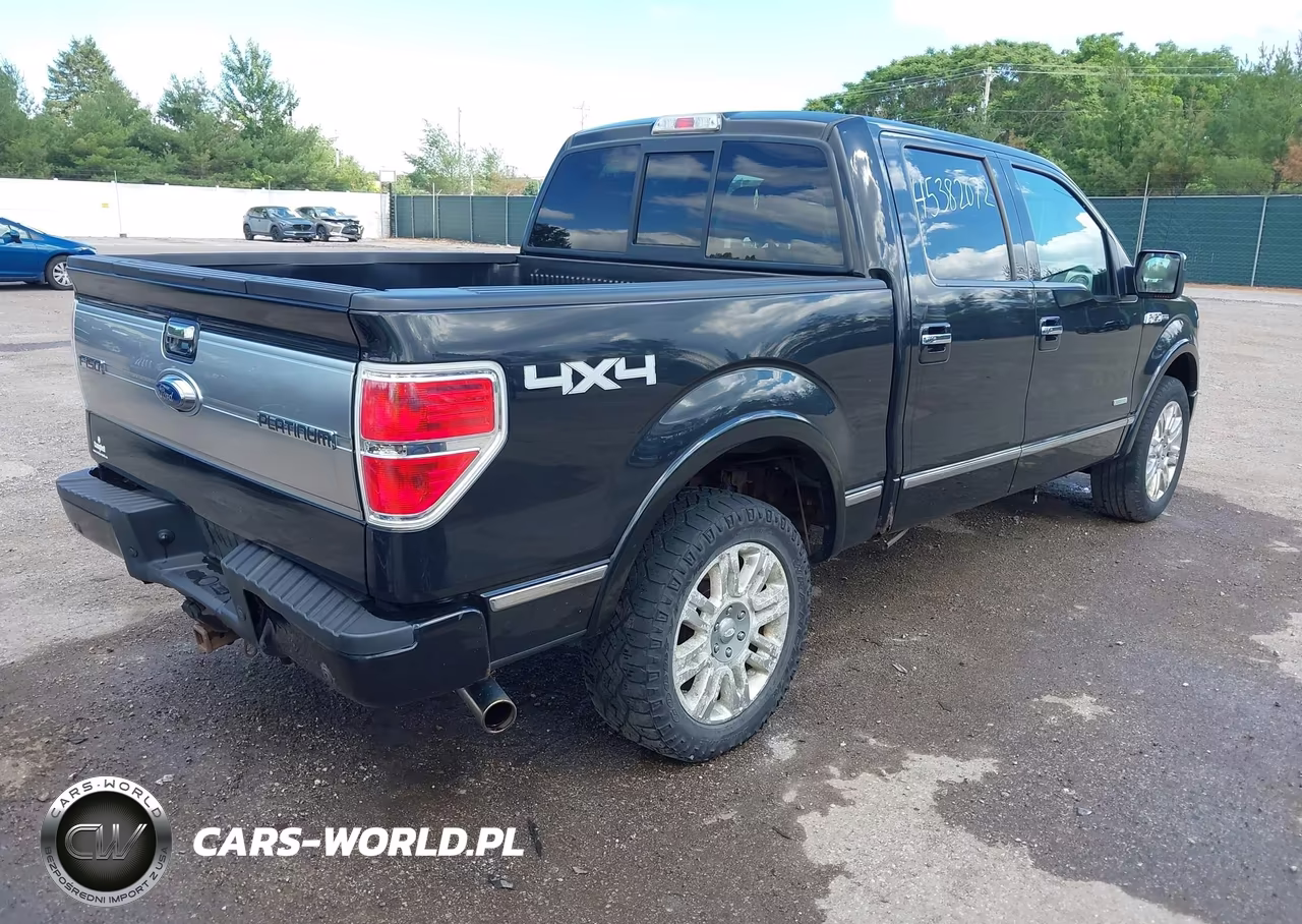 2013 Ford F-150 Platinum VIN:1FTFW1ET3DFC64141 - 4