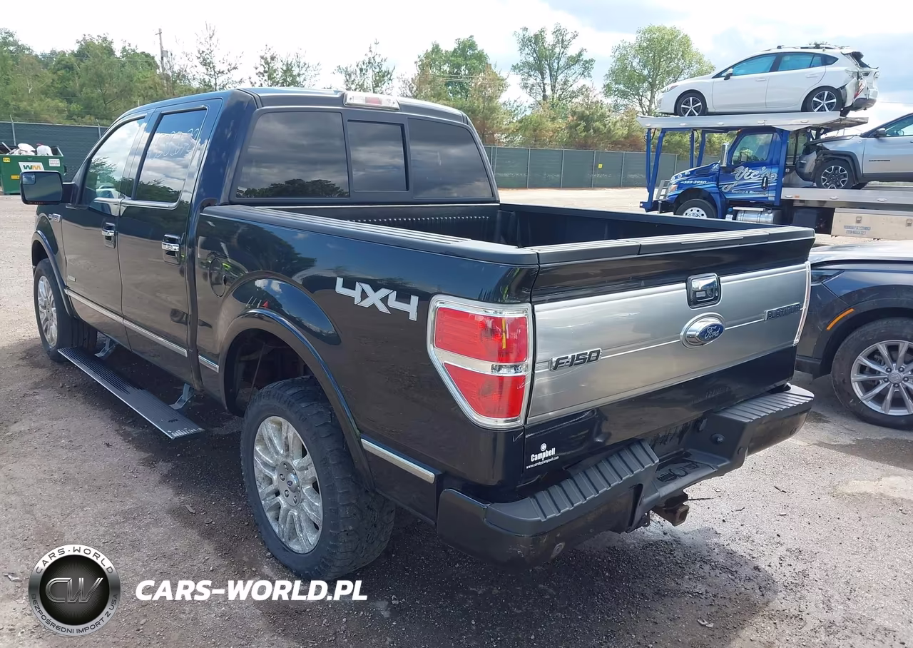 2013 Ford F-150 Platinum VIN:1FTFW1ET3DFC64141 - 6
