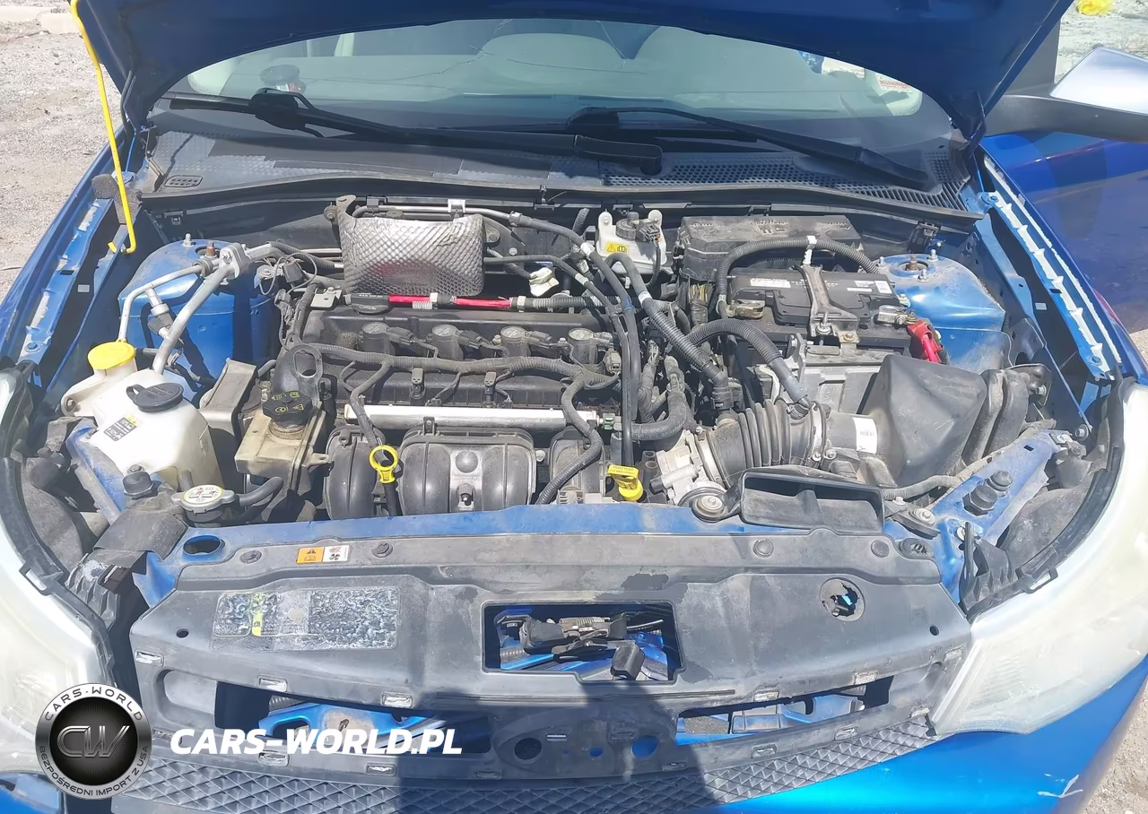 2010 Ford Focus Sel VIN:1FAHP3HNXAW186652 - 10