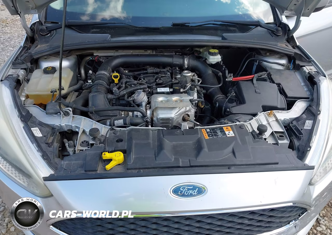 2018 Ford Focus Se VIN:1FADP3FE2JL265137 - 10