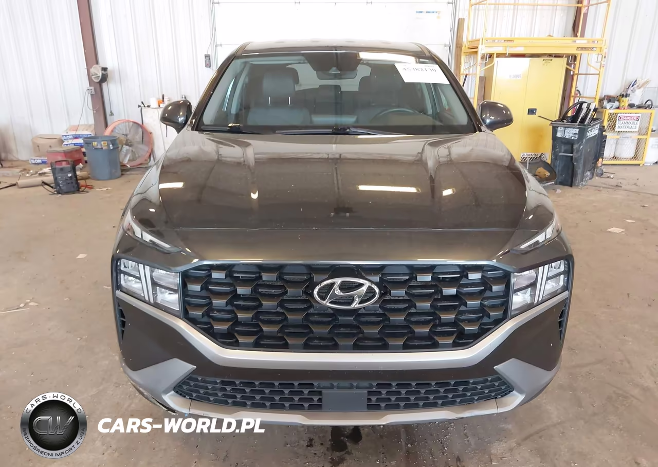 2023 Hyundai Santa Fe Se VIN:5NMS1DAJ0PH490812 - 12