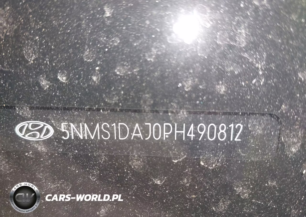 2023 Hyundai Santa Fe Se VIN:5NMS1DAJ0PH490812 - 9