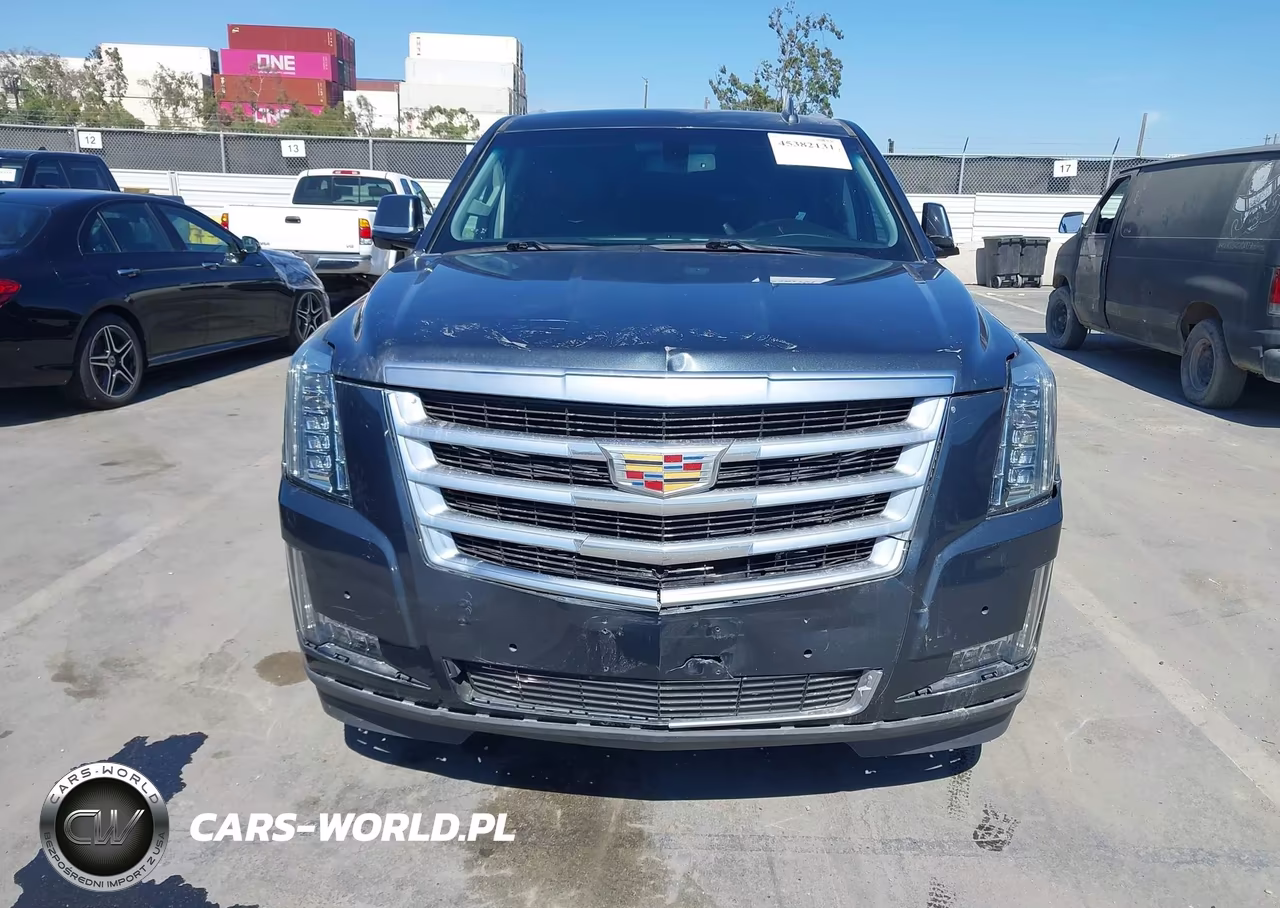 2020 Cadillac Escalade Esv 2Wd VIN:1GYS3GKJ7LR166606 - 12