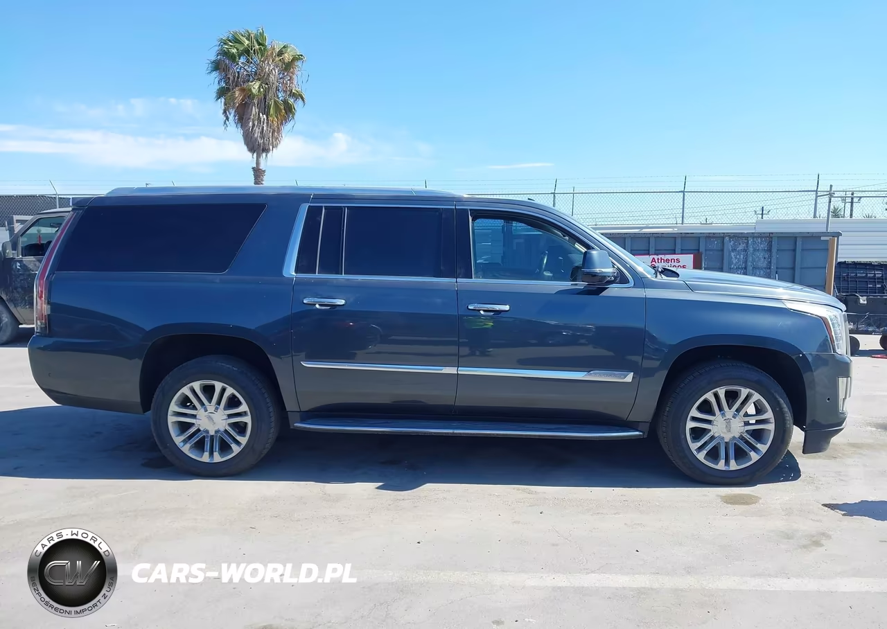 2020 Cadillac Escalade Esv 2Wd VIN:1GYS3GKJ7LR166606 - 13
