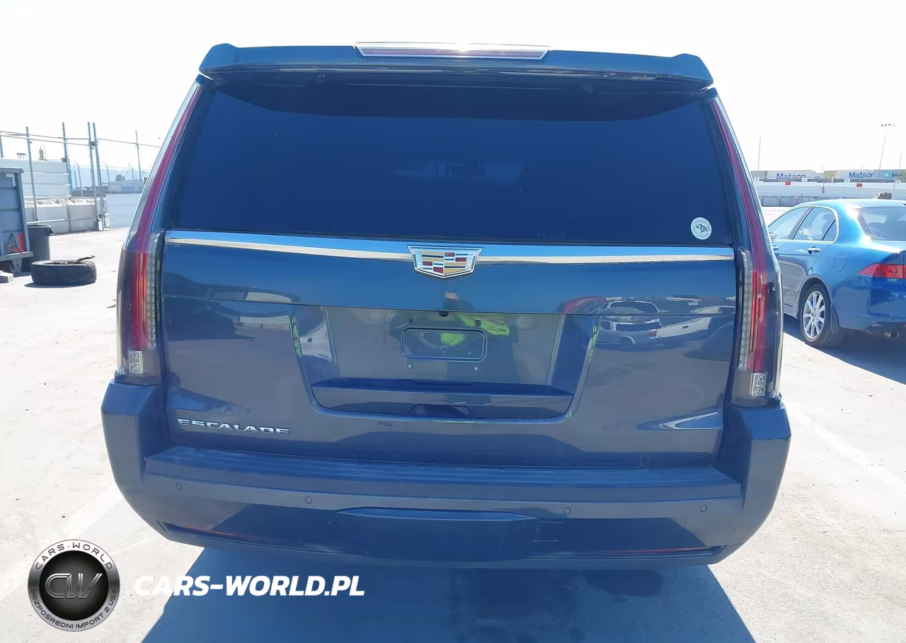 2020 Cadillac Escalade Esv 2Wd VIN:1GYS3GKJ7LR166606 - 16