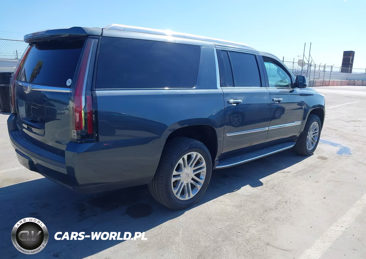 2020 Cadillac Escalade Esv 2Wd VIN:1GYS3GKJ7LR166606 - 4