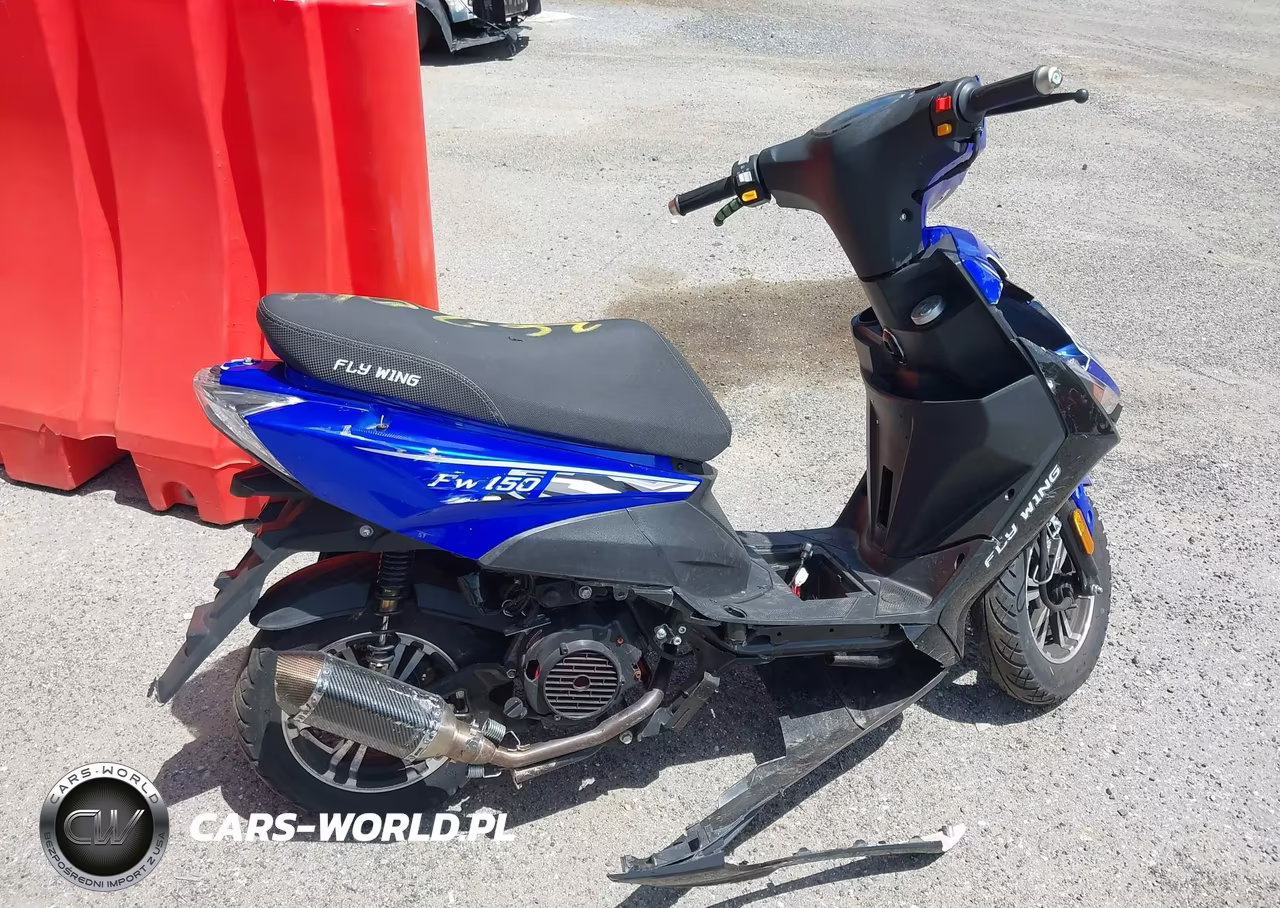 2024 Taizhou Zhongneng Flywing 150 VIN:HZ2TBCNF4R1009833 - 12