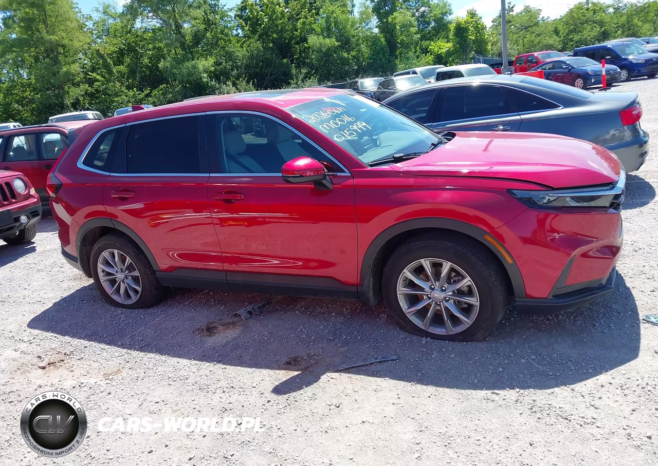 2024 Honda Cr-V Ex Awd VIN:7FARS4H47RE015999 - 13