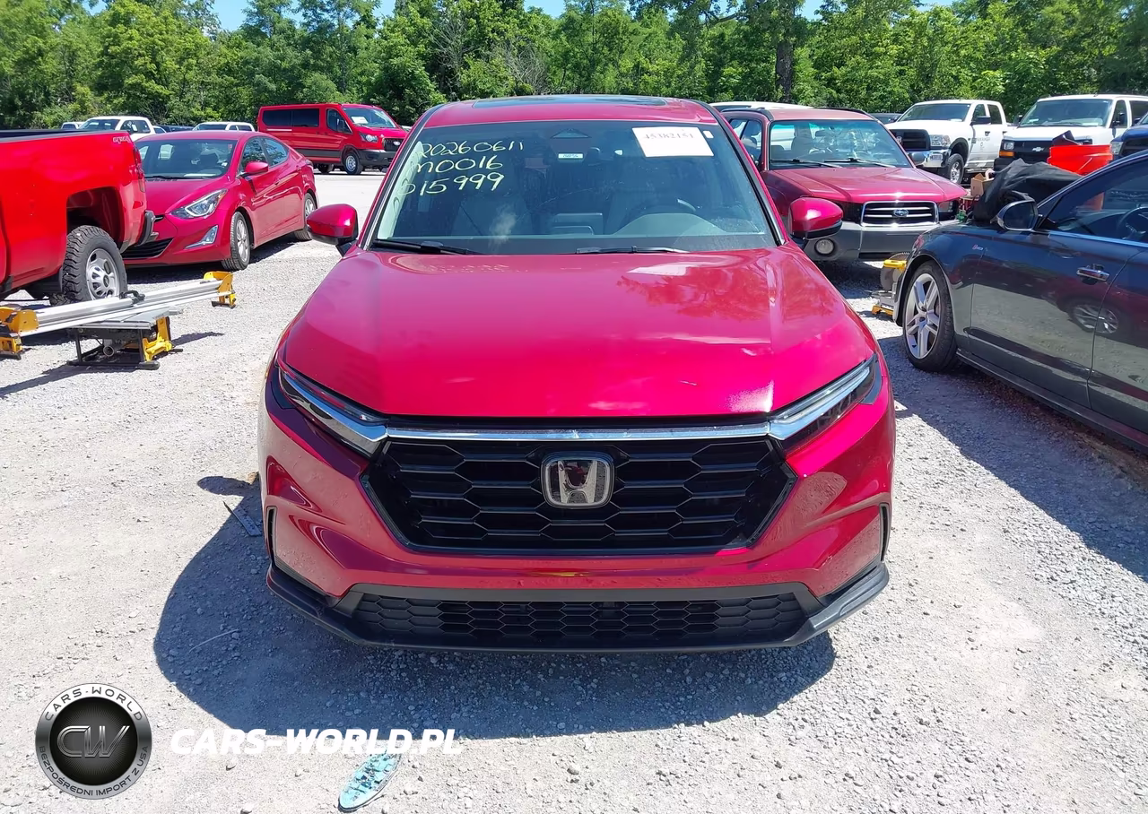 2024 Honda Cr-V Ex Awd VIN:7FARS4H47RE015999 - 6